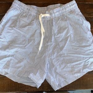 Chubbies Blue Swim Trunks with White Stripes and Elastic Waistband